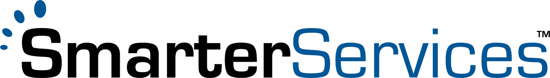 smarterservices-logo