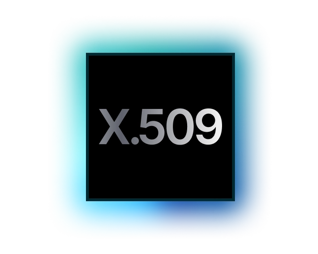 ls-cloud-security-x.509-image