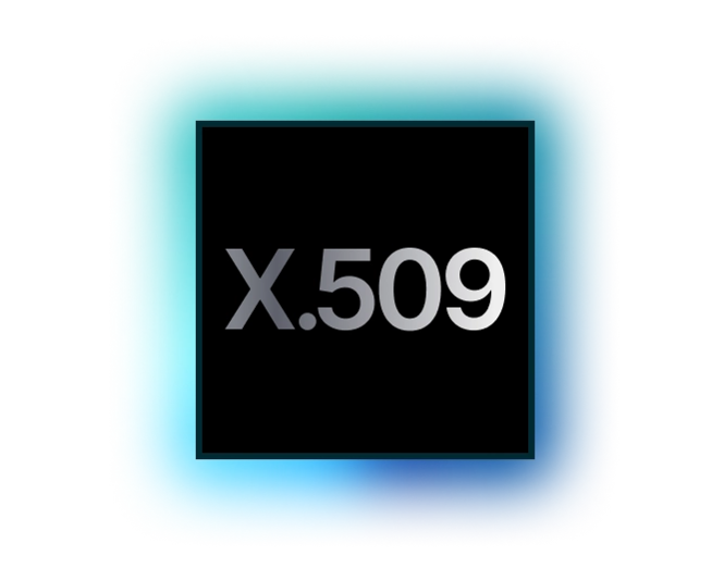 ls-cloud-security-x.509-image