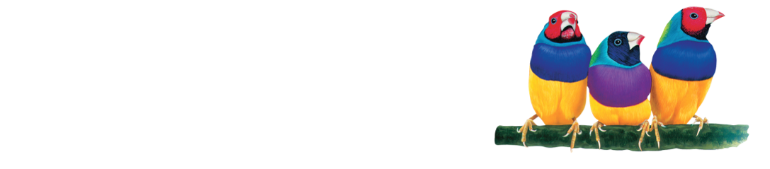 ViewSonic-logo 1